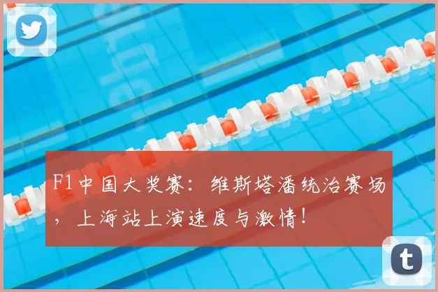 F1中国大奖赛：维斯塔潘统治赛场，上海站上演速度与激情！