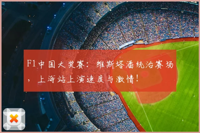 F1中国大奖赛：维斯塔潘统治赛场，上海站上演速度与激情！