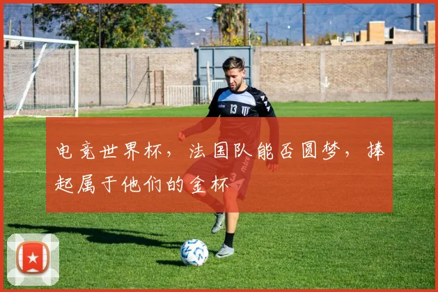 电竞世界杯,法国队能否圆梦,捧起属于他们的金杯