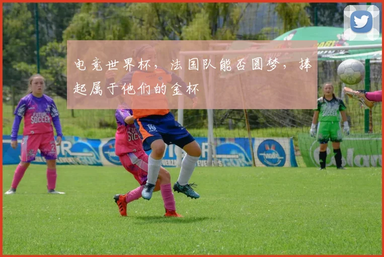 电竞世界杯,法国队能否圆梦,捧起属于他们的金杯